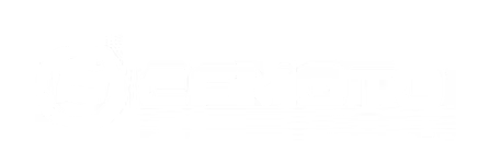 Firma nimi